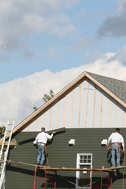 Best Insulated Siding Installation  in Buffalo Grove, IL