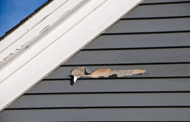 Best Storm Damage Siding Repair  in Buffalo Grove, IL