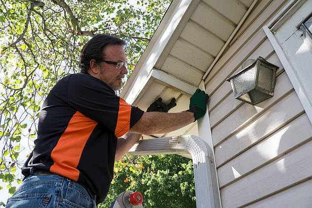 Best Historical Building Siding Restoration  in Buffalo Grove, IL